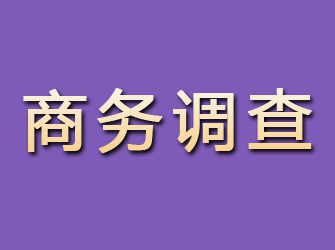 榆阳商务调查